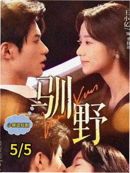 马达加斯加高清完整版封面